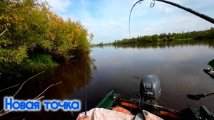 НАШЁЛ РЫБНОЕ МЕСТО