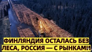 Финляндия осталась без леса, Россия — с рынками