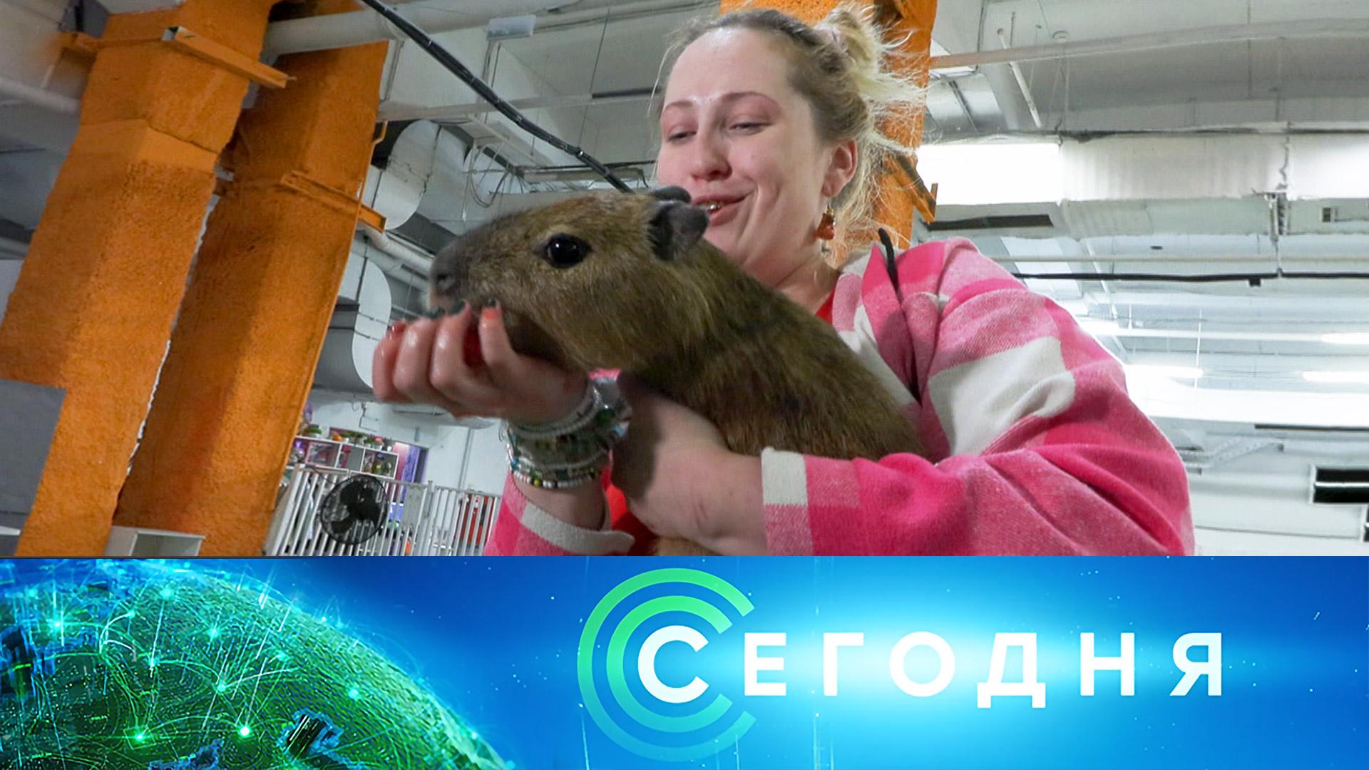 Сегодня: 16 октября 2025 года. 13:00 | Выпуск новостей | Новости НТВ