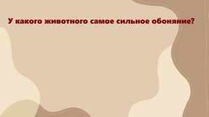 «Следствие ведут зоозащитники»
