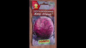 Убрали последнюю капусту