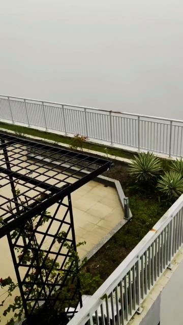 Вьетнам Погода в Нячанге 16 октября 2025 - Впервые Пошёл Снег