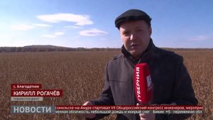 Соя: увеличить урожай бобовых. Новости. 16/10/2025. GuberniaTV