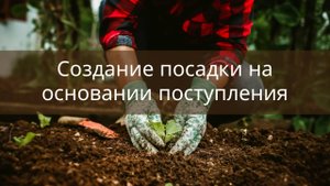 Посадка на основании Поступления