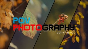 POV 30 минут расслабляющей прогулки по осеннему лесу | Фотография от первого лица  | Sony a6700