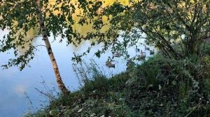 Эрнесто Кортазар. Голубые воды.Ernesto Cortazar. Blue Waters