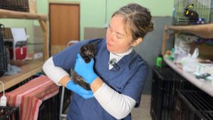 У малыша Нигана серьезные проблемы с глазами