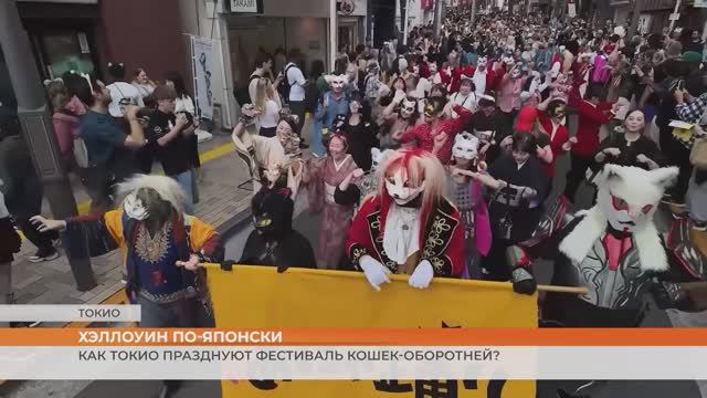 Полюбуйтесь на кошачий фестиваль в Токио