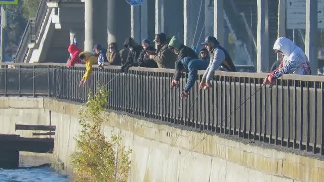 Чемпионат Воронежской области по спиннингу с берега октябрь 2021