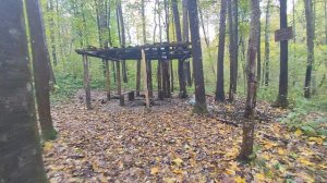 Чем дальше жизнь, тем больше замечаешь Всю красоту природы, неба синь... И думаешь, как мало в ...