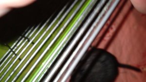 Шиншиллам 8 дней