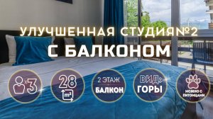 Улучшенная Студия с балконом Калиновая 9А