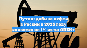 Путин: добыча нефти в России в 2025 году снизится на 1% из-за ОПЕК+
