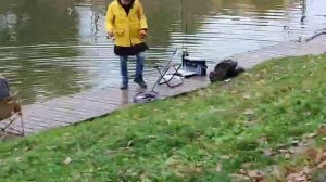 Форель