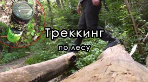 Треккинг по лесу. 15 км, без ночевок. Подмосковье. Митино - ст. Красногорская.