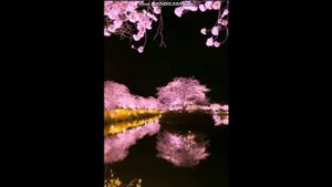 Это явно не на Земле. Красота планеты