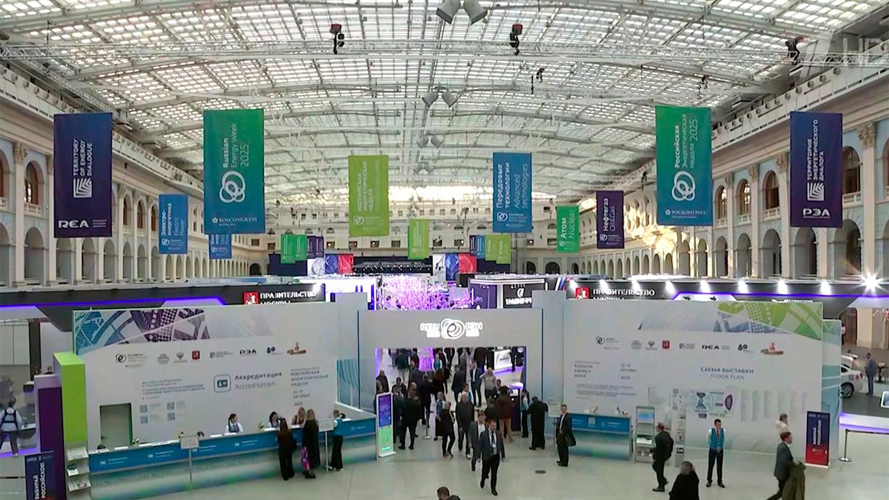 Владимир Путин примет участие в пленарном заседании Российской энергетической недели