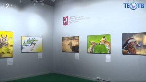 Дикая и хрупкая: международная фотовыставка «Золотая Черепаха» снова в Москве!
