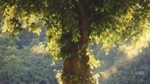 Истории из жизни|Собеседование, отказ, который изменил всё |Аудио рассказы |Аудиокниги слушать