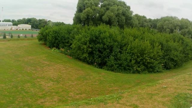 конь мой верный