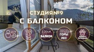 Студия с балконом Калиновая 9А