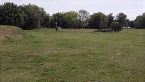 Дрессировка соколов