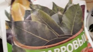 Средство от насморка за копейки-запись от 18.09.25