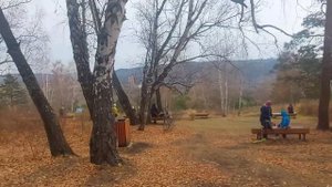 Эко -парк.Гремячая грива. Красноярск