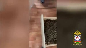 В Якутии полицейские уличили жителя Хангаласского района в хранении 3,5 кг каннабиса в своём гараже