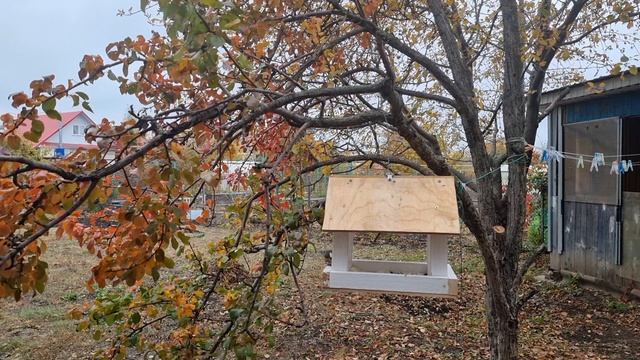 Кормушка для птиц. смотреть онлайн