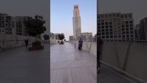 Оливка, сентябрь 2025. Дубай (2)