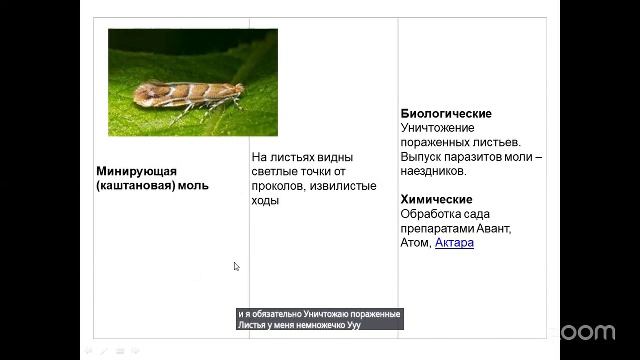 Уход за садом с Анастасией Борункова