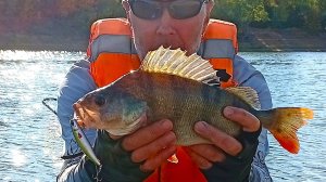 Ещё раз о Kosadaka Tide Minnow