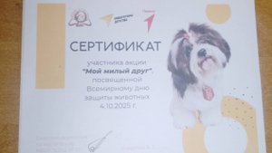 Грустные истории