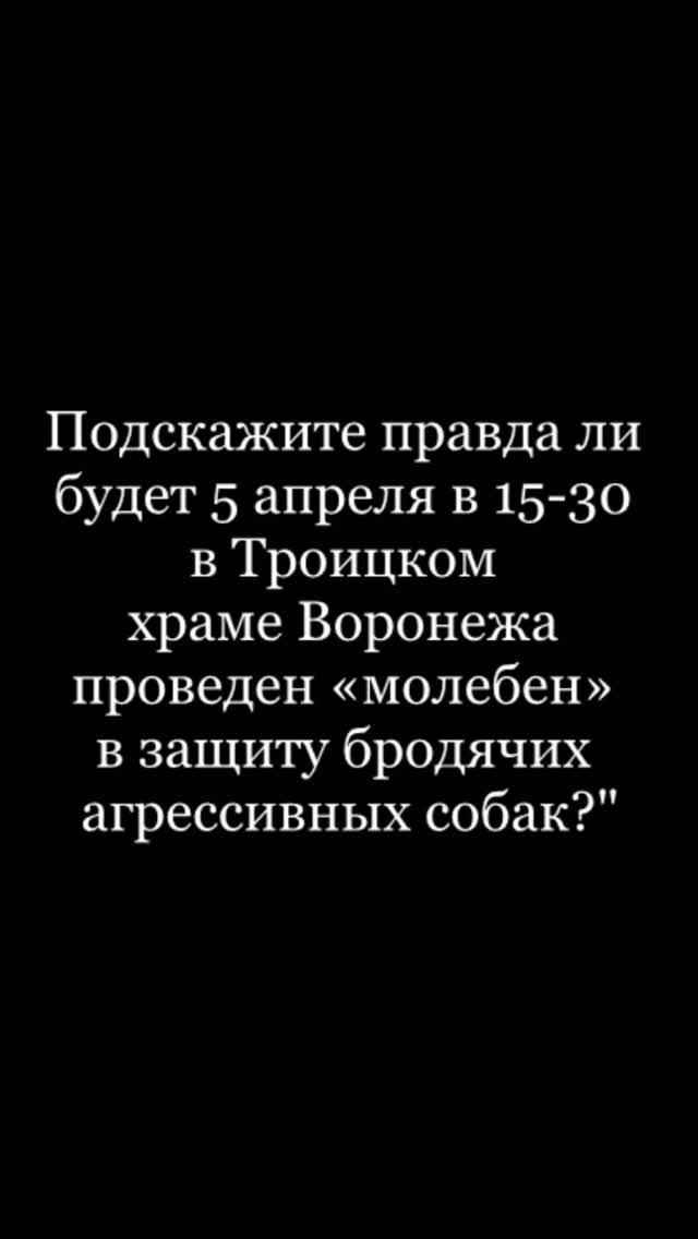 О собачьем молебне смотреть онлайн