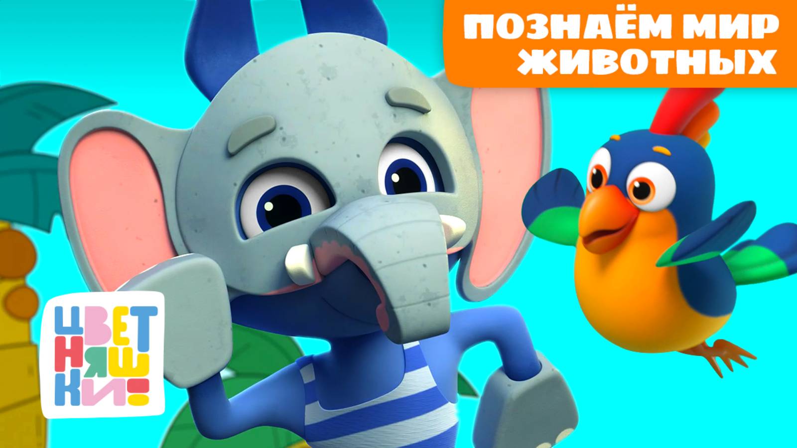 Познаём мир животных | Цветняшки мультики для детей | сборник