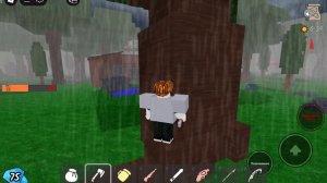 roblox прохождение
