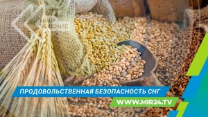 Как обеспечивается продовольственная безопасность в России и странах СНГ?