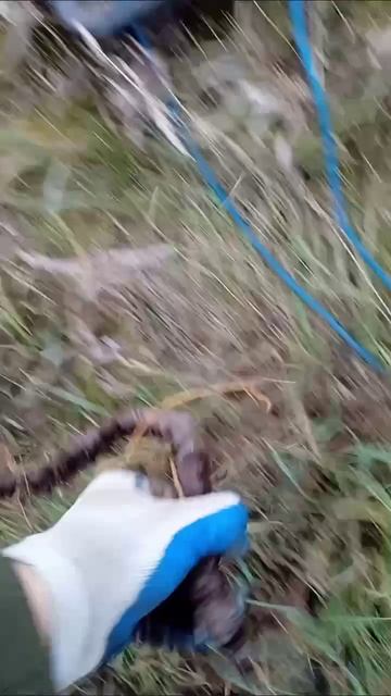 Поиск металла. смотреть онлайн