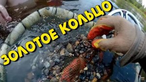 ЗОЛОТОЕ КОЛЬЦО на XP ORX!