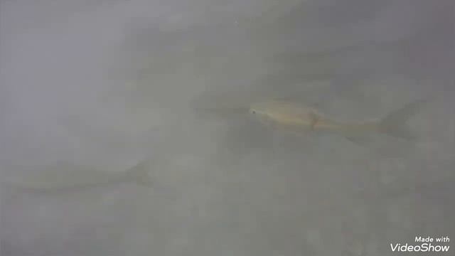 Водопад Эраван Тайланд смотреть онлайн