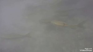 Водопад Эраван Тайланд