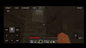 играю с братом в майн