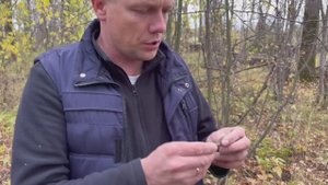 Мечта кладоискателя !!! Супер ЛЕС  !!!ТРЯСЛИСЬ РУКИ !!!