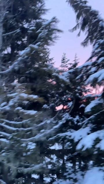 Песенка сторожа смотреть онлайн