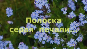 Полоска серая печали