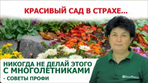 Что делать осенью? Уход, посадка многолетних цветов и кустарников в октябре