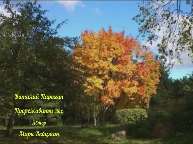 Виталий Парыгин - Прореживают лес смотреть онлайн