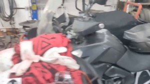 зид пилот путешествие 2025