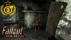 Имботесак #3 Fallout: New Vegas